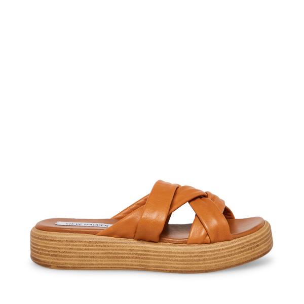 Steve Madden Salita Tan Leather Women\'s Sandals Brown | SM-397GM
