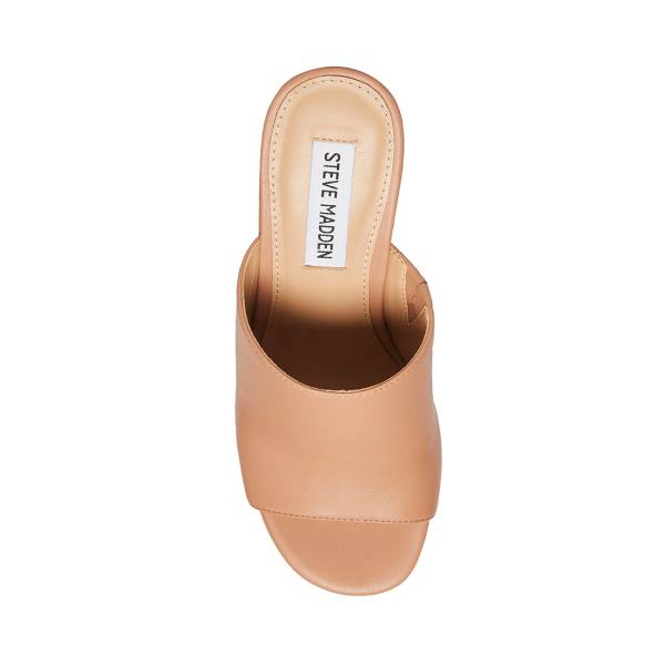 Steve Madden Sally Tan Women's Heels Dark Brown | SM-358GO