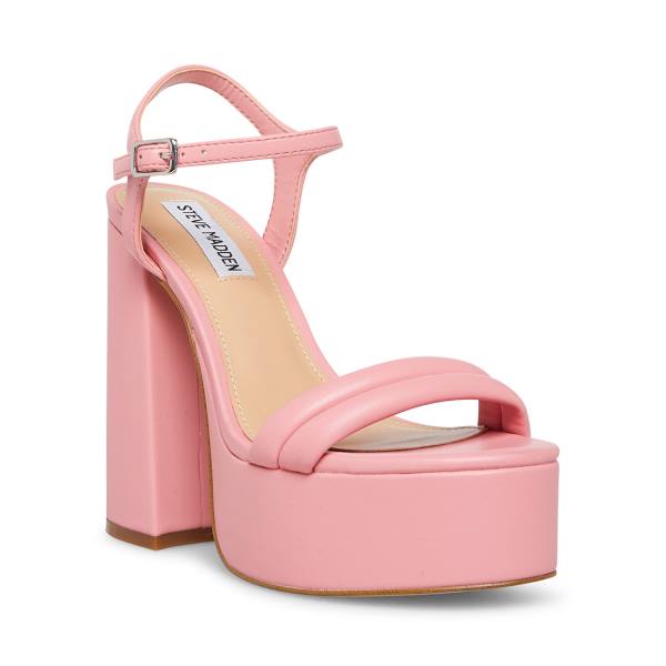 Steve Madden Tille Women's Heels Pink | SM-451MB