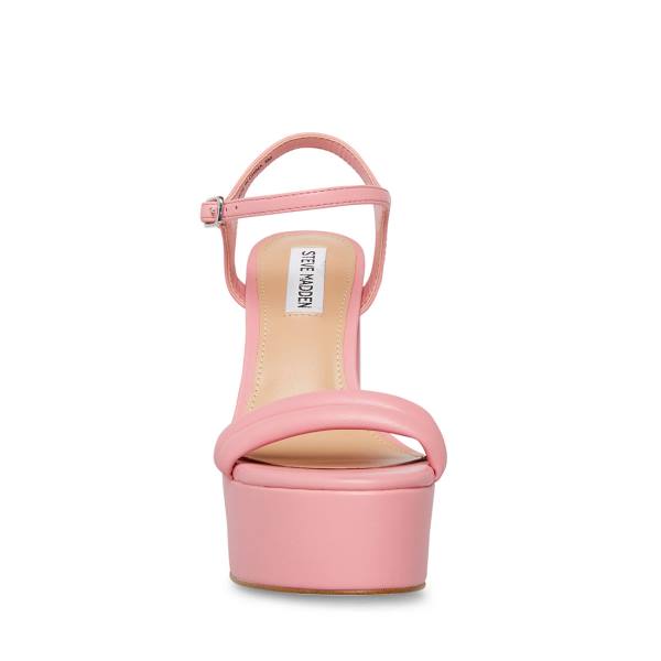 Steve Madden Tille Women's Heels Pink | SM-451MB