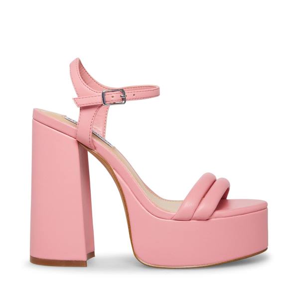 Steve Madden Tille Women\'s Heels Pink | SM-451MB