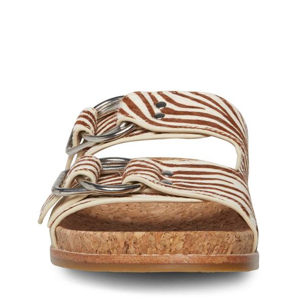 Steve Madden Zeya Women's Sandals Tiger | SM-134KP