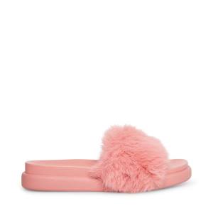 Steve Madden Delphina Women's Slippers Pink | SM-834TX