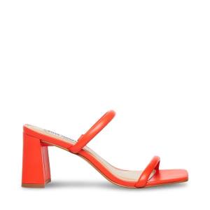 Steve Madden Lilah Women's Heels Red | SM-639TF