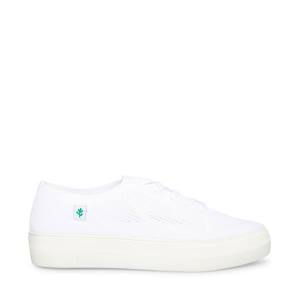 Steve Madden Valeryy Women's Sneakers White | SM-627AT